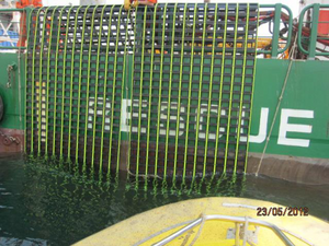 Jason's Cradle® - SCRAMBLE NET