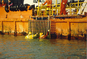 Jason's Cradle® - SCRAMBLE NET