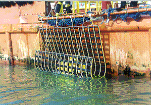 Jason's Cradle® - SCRAMBLE NET
